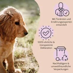 FAVLY Petfood Nature Cookies Hirsch 360 G -Tierbedarf Rabatt Geschäft ae0e416bd82871a8a65b5b89ea5ccac268b91726 1474001 de DE 80624b888460a5c29f043365a19496292e44fd84erjjco