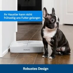 PetSafe Futterautomat Für 2 Mahlzeiten -Tierbedarf Rabatt Geschäft afccbd633c58c8351d6efc6cc5102f36b818906b 1343837 10