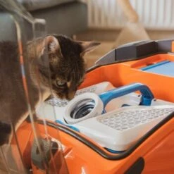 THOMAS AQUA+ Pet & Family -Tierbedarf Rabatt Geschäft b29d283b30c65b5964c108db9c904b2f1515a2bd 1408595 de DE b994e116c03c39866ce7571239028dd963780376lYoXei