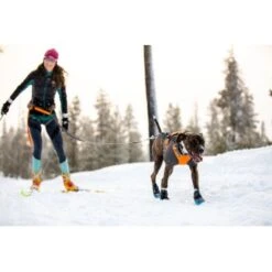 Ruffwear Cloud Chaser™ Hundejacke 18 Ruffwear Cloud Chaser™ Hundejacke -Tierbedarf Rabatt Geschäft b3945dcdf1d891b89bb33cdcabbc0f70acaf459d 1369625 de DE 87163fc3e147e303fdf97d4ab87fd720c4f34a96B9a7gd