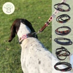 Kipita Polo Hundeleine Rainbow 9 Kipita Polo Hundeleine Rainbow -Tierbedarf Rabatt Geschäft b3f1e5d5edb12499cecef8d448554ac29ebee2a8 1410921 de DE bdee305cb3dca22d05c60bfa89eba9d9a1a952e5I3W93C