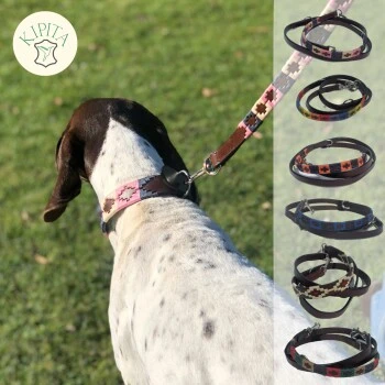 Kipita Polo Hundeleine Rainbow 4 Kipita Polo Hundeleine Rainbow – Bild 4