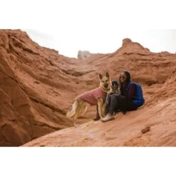 Ruffwear Hemp Hound™ Sweater Rosso M -Tierbedarf Rabatt Geschäft b5165b497ab2ca12deabc5b7372706595a781875 1639886 de DE 86e1a268a8e48c7c0eda07c50072b9e29b38b607mGQtvr