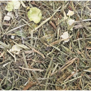 JR Farm Grainless Herbs Meerschweinchen 5kg 2 JR Farm Grainless Herbs Meerschweinchen 5kg – Bild 2