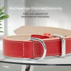 Freudentier Gefüttertes Halsband Aus Leder Rot L 12 Freudentier Gefüttertes Halsband Aus Leder Rot L -Tierbedarf Rabatt Geschäft b6a6115b4bff2377ef42c420cc3939331dd65eb4 1655241 de DE 6d5809524c7eef7e530141859c494be8d690f770ogbuUj