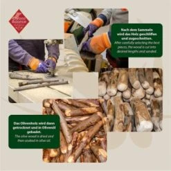 ChronoBalance Olivenholz (M) 2er Paket 8 ChronoBalance Olivenholz (M) 2er Paket -Tierbedarf Rabatt Geschäft b8532cfbb5aca3f94f942f82c6b341478c48663b 1418700 de DE 8f48e572bfc115876fd8e9be5efc6bdd38136584ot8gk1