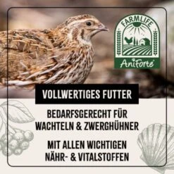 Aniforte FarmLife Wachtel Futter Müsli 5 Kg -Tierbedarf Rabatt Geschäft bacb485441ba39b2a7c82beafff34de0223a2b69 1496424 de DE b7f0b87a7c416031b71c91845a0d8a62a679156cqPxdAd