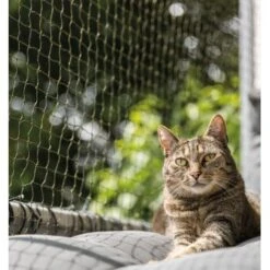 Trixie Katzenschutznetz Cat Protect 2 M, 1,5 M -Tierbedarf Rabatt Geschäft bc6f0b8052c3a5b997776619d64762770aac1a9d 1017572 de DE trixie schutznetz wb2