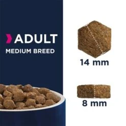 EUKANUBA Active Adult Medium Breed Mit Huhn 15 Kg -Tierbedarf Rabatt Geschäft bf65822fe0370303033059fa38f8339997a3575e d641f1d990fc673712c1ebab4fb6bf86b593ed88