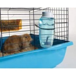 Savic Trinkflasche Source 300 Ml -Tierbedarf Rabatt Geschäft bf715cf9bf40f48bf8ff329090400df78509b41a 9b337ed2937801349f27dcf1bb0ee66e979c5a5f