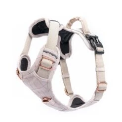 Freudentier Atmungsaktives Hundegeschirr S -Tierbedarf Rabatt Geschäft c06eb245ac6139883574f271a28c7a317f61091c 1429123 de DE 54f7662776546638d4895205027234028965cb0ciT3eNe