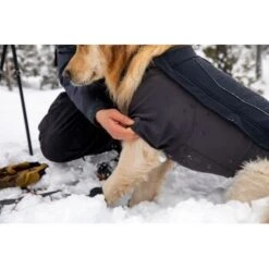 Ruffwear Cloud Chaser™ Hundejacke 15 Ruffwear Cloud Chaser™ Hundejacke -Tierbedarf Rabatt Geschäft c08ed86245839b8fa7d59b47206e376a4924f862 1369625 de DE 87ed046f15d6c099e4f33a0b92b8494c495a6d97LL6Vmg