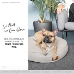 Freudentier Kuscheliges Hundebett Mit Memory Foam ⌀70cm -Tierbedarf Rabatt Geschäft c22bd91b01a6f6c6cf40d7b3d970e27a9fac14f9 1421322 de DE 52bf603f7a7b436d2e10fed70a6a039778ceaa33VNuXm7