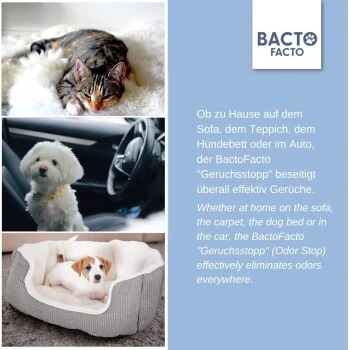 ChronoBalance BactoFacto Probiotischer Geruchsstopp Pads Für 2 Liter 20 Ml 6 ChronoBalance BactoFacto Probiotischer Geruchsstopp Pads Für 2 Liter 20 Ml – Bild 6