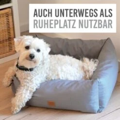 KaraLuna Autositz Kleine Hunde -Tierbedarf Rabatt Geschäft c43a66d74eef51b612eae7a548cb2b038009505b 1657442 de DE c74c72488e6718cfafbeff5d99ede07a37048260HkNpMo