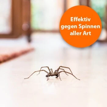 Ardap Spinnen Zerstäuber 500ml 2 Ardap Spinnen Zerstäuber 500ml – Bild 2