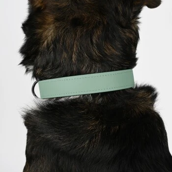 THE DOG IDEA Biothane Halsband Sage S 3 THE DOG IDEA Biothane Halsband Sage S – Bild 3