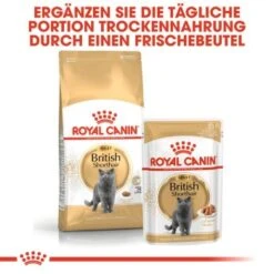 ROYAL CANIN British Shorthair Adult 2 Kg -Tierbedarf Rabatt Geschäft c753bd00548b3887de38170504d89850cc579133 6ad27fa67d71d664216d6c9c00894ac1ba874172