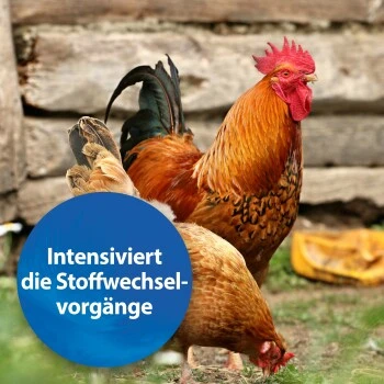 Quiko Plus 400 G: Extra Proteine Für Jungvögel 2 Quiko Plus 400 G: Extra Proteine Für Jungvögel – Bild 2