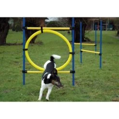 Dobar 3-teiliges Agility Sprung-Set,, Inkl. Tragetasche -Tierbedarf Rabatt Geschäft c7c9dd298510f0bd74d586405ecbd396df04c759 313726f2dd166c5ec13855d4374275bbe5eeeeec