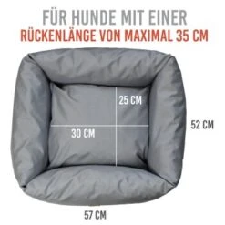 KaraLuna Autositz Kleine Hunde -Tierbedarf Rabatt Geschäft c82cd8c12e140ce6995549d71c3f6191f0cd0a3b 1657442 de DE 2f6495f9c0fdda14f345cfb639bb4bee62ece79aDXpHvs