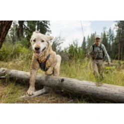 Ruffwear Brush Guard™ Geschirrzubehör S -Tierbedarf Rabatt Geschäft c88704a120b1ecbe10b5759d1532c5876bf02eec 1651427 de DE 6693c5b56ae972b6dab2ef2f40458870105d43f0wwSvBk