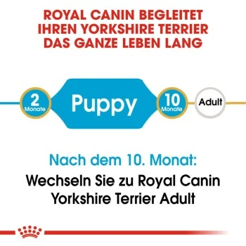 ROYAL CANIN Yorkshire Terrier Puppy 1,5 Kg 9 ROYAL CANIN Yorkshire Terrier Puppy 1,5 Kg – Bild 9