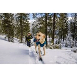 Ruffwear Confluence™ Halsband Blau/ Türkis L -Tierbedarf Rabatt Geschäft c9a7569649ca21e62e97dc1f434002390de937ab 1651546 de DE 252f1b242105f77969f065b3c0f22015f808307dRm2FfW