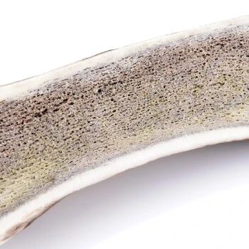 Larsson Halbiertes Geweih M Ca. 80-120g 3 Larsson Halbiertes Geweih M Ca. 80-120g – Bild 3