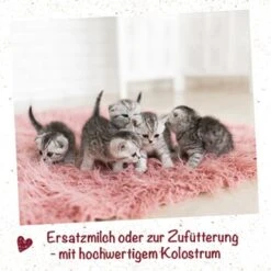 Tierbedarf Rabatt Geschäft -Tierbedarf Rabatt Geschäft cb54fb68eab1ba9ad3309329056a5719ae136c3c 1670288 de DE 36a37c143303142c75d6ae24d10000b3fa8247a1SHLn41