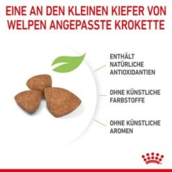 ROYAL CANIN X-Small Puppy 1,5 Kg -Tierbedarf Rabatt Geschäft cd740569d7f53df838517c3fee54f2cd1982cf0a 3182550793636 5