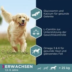 EUKANUBA Adult Large Breed Lamm & Reis 12 Kg -Tierbedarf Rabatt Geschäft ceda915d725944faec5c4ce0ca3f1aa28310f50d 35b07eba0eee28c190ee2ea2908a740198070bd5