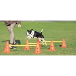 Trixie Dog Activity Hindernisse Ø23x30cm -Tierbedarf Rabatt Geschäft cf5032631aac0df221da4281f2bf49a2321f1aa1 1287032 de DE Trixie Hindernisse wb 1