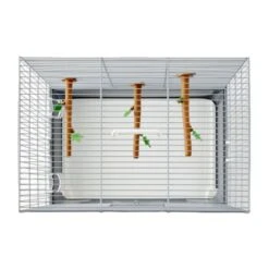 Savic Vogeltransportbox Primo 40 7 Savic Vogeltransportbox Primo 40 -Tierbedarf Rabatt Geschäft d0137ead5389abc3a8c42310a827c524b766fe1e e82c8aed5381bd8b3950178b79f9bf677032da65