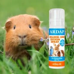 Ardap Milben- Und Zeckenspray Für Nager Und Vögel 100ml -Tierbedarf Rabatt Geschäft d31b218e2707befec7754c8083065f70356158d1 1352522 de DE fd4048a952551f3b8f11c9f32d59e37afe6befe8yARYDP