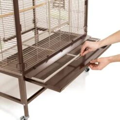 Montana Cages Voliere Villa Casa 90 8 Montana Cages Voliere Villa Casa 90 -Tierbedarf Rabatt Geschäft d3e1acc4f4fea95d5e1ff3eb5a4418e7ec0d97f9 1039422 de DE cee2563bfecbea93636721e8f6876b8ca1589c54fMY38l