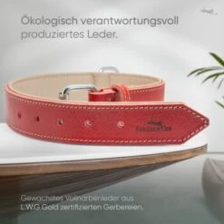 Freudentier Gefüttertes Halsband Aus Leder Rot L 11 Freudentier Gefüttertes Halsband Aus Leder Rot L -Tierbedarf Rabatt Geschäft d409cad84e2e26e5e855246f3d62526ca2fa7cd7 1655241 de DE b688ee419d994f89d4885d7f15c32b5b6f7cc00bZYodZu