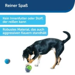 PetSafe Elektronisches Hundespielzeug Ricochet -Tierbedarf Rabatt Geschäft d4449f153a2c132dbacdcffdb9e5bd1534d39124 1418724 de DE f83cfc689e8023f0b85b6eeadf79a2629df4d4f153I9wY