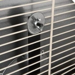 Wagner Montana Cages Metall-Laufrad Ø 38cm -Tierbedarf Rabatt Geschäft d617bd4dfbc1724778c20b1c5755c0a1ef592d48 1484280 de DE 05a82c0dc36325300cf7e58e8159a2a6bf92c5f4CacJUu