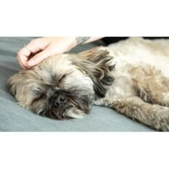 Mammaly Forever Young 110g 10 Mammaly Forever Young 110g -Tierbedarf Rabatt Geschäft d75e80309e38d9419395e04d6d462b3faf057eae 1472891 6