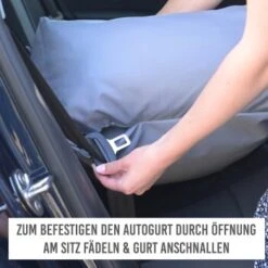 KaraLuna Autositz Kleine Hunde -Tierbedarf Rabatt Geschäft dac7c133baa7e8b4e86216418859b86fd33d9965 1657442 de DE 9207fff19a57cb716e0389e0ae01e7548f23cca6uE9hnc