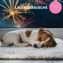 ADAPTIL Junior Halsband Anti Stress Erziehungshalsband -Tierbedarf Rabatt Geschäft db33920bc3d21bba892bdb530582f20170b9cd84 1287044 9