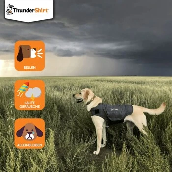 Thundershirt Beruhigungsweste Grau XS 3 Thundershirt Beruhigungsweste Grau XS – Bild 3