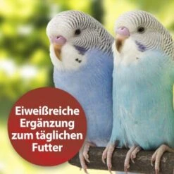 Quiko Bierhefe 400g: Eiweißreiche Ergänzung Zum Täglichen Futter Für Ziervögel -Tierbedarf Rabatt Geschäft dbea3a9534bfd87d9c3612a707b4b2a72d3b88e8 1386526 de DE 81b3ddf78d2ba1575bc8dd1b556a4d784786c157kjWBy7