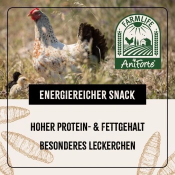 Aniforte FarmLife Soldatenfliegenlarven 800g 5 Aniforte FarmLife Soldatenfliegenlarven 800g – Bild 5