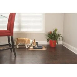 PetSafe Digitaler Futterautomat Für 2 Mahlzeiten -Tierbedarf Rabatt Geschäft dd3fb1748ad72abb1dbd97f6f077b00bb4d76d05 1291255 de DE cf72a75b3fd4f7fd8b7e51ea368585b22239110fFJga5O