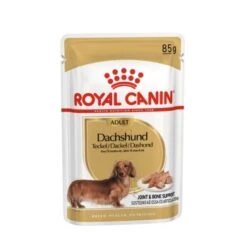 ROYAL CANIN Dachshund Adult Mousse 12x85g -Tierbedarf Rabatt Geschäft de96ce197477c2a8829fb0e667d0e4e3cafcf670 1239184 de DE rc 1