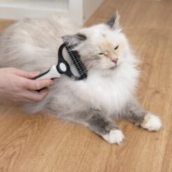 KaraLuna Unterfellbürste -Tierbedarf Rabatt Geschäft e0e7f4b3ef49c70421b21094c2615519c93a1a3e 1407475 de DE 78030a6cd3af146aa7eb3f83fa2322b52c78816a2jpF0U