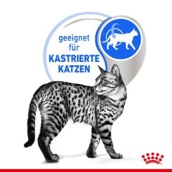 ROYAL CANIN Indoor Sterilised 12x85g In Gelee -Tierbedarf Rabatt Geschäft e0f30f9a28c4a2b10156c12b92347b4c5a9b1e23 8c952aa18fe09440ca4c62569fbc775fe9fd6239