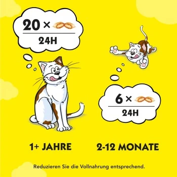 Dreamies Snack-Vielfalt 12x60g 3 Dreamies Snack-Vielfalt 12x60g – Bild 3